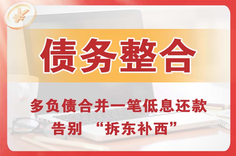 龙眠债务整合