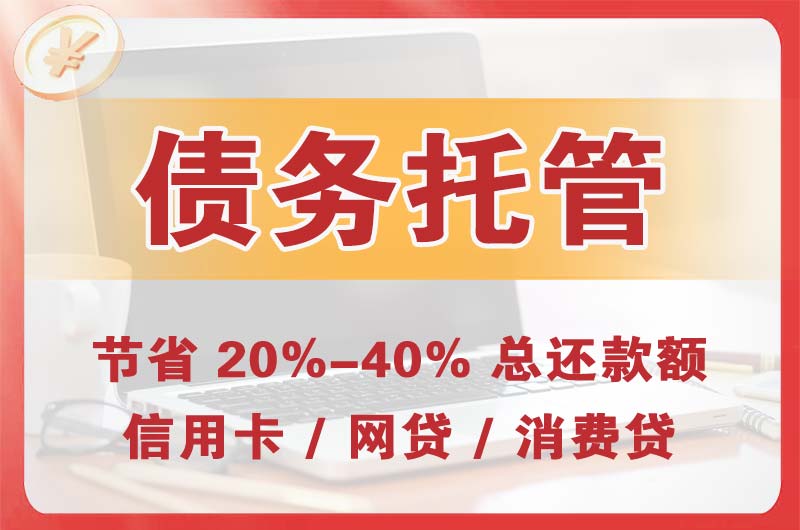 龙眠债务托管